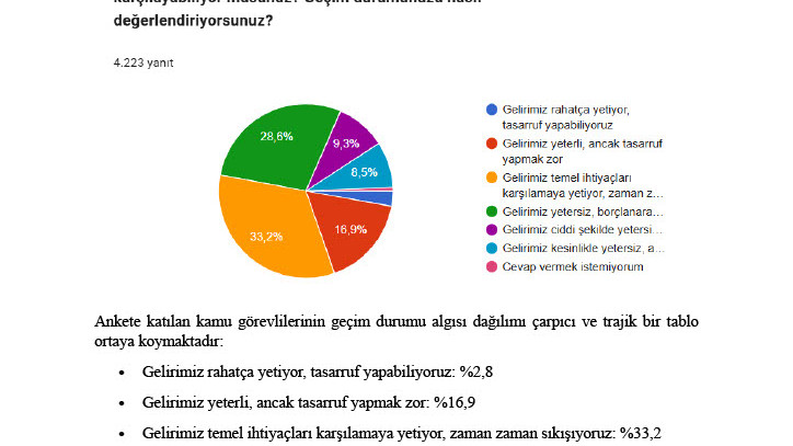 MEMURLARIN GEÇİM DÜZEYİ ANKETİ – ÖZET RAPOR