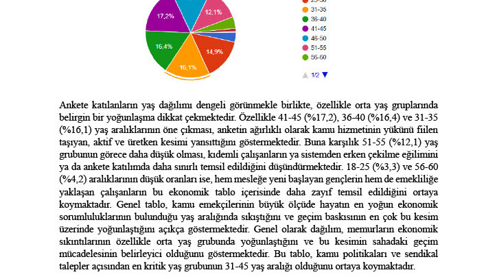 MEMURLARIN GEÇİM DÜZEYİ ANKETİ – ÖZET RAPOR