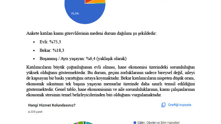 MEMURLARIN GEÇİM DÜZEYİ ANKETİ – ÖZET RAPOR
